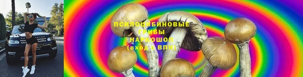 прущая мука Абдулино